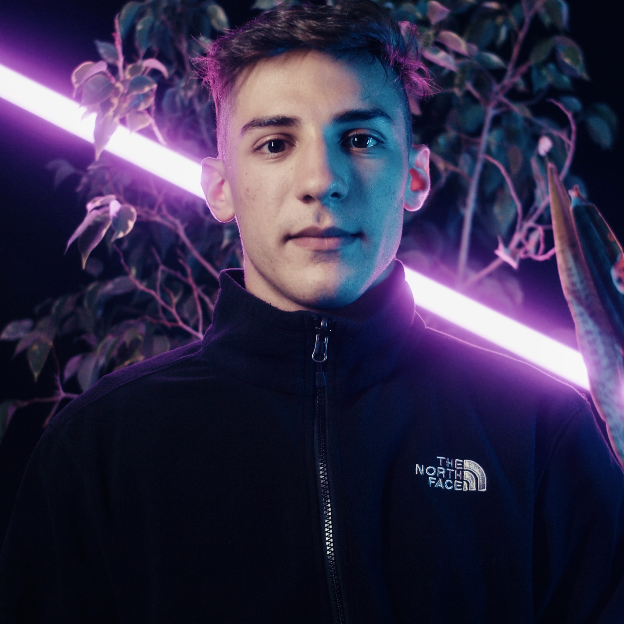 Daniel Falbo
